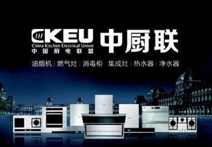 ckeu中廚聯(lián)專業(yè)提供沒有品牌的廚房電器