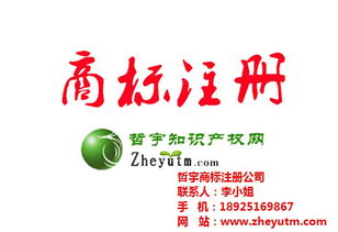 哲宇知識產(chǎn)權代理 圖 廣東國際商標公司 國際商標高清圖片 高清大圖